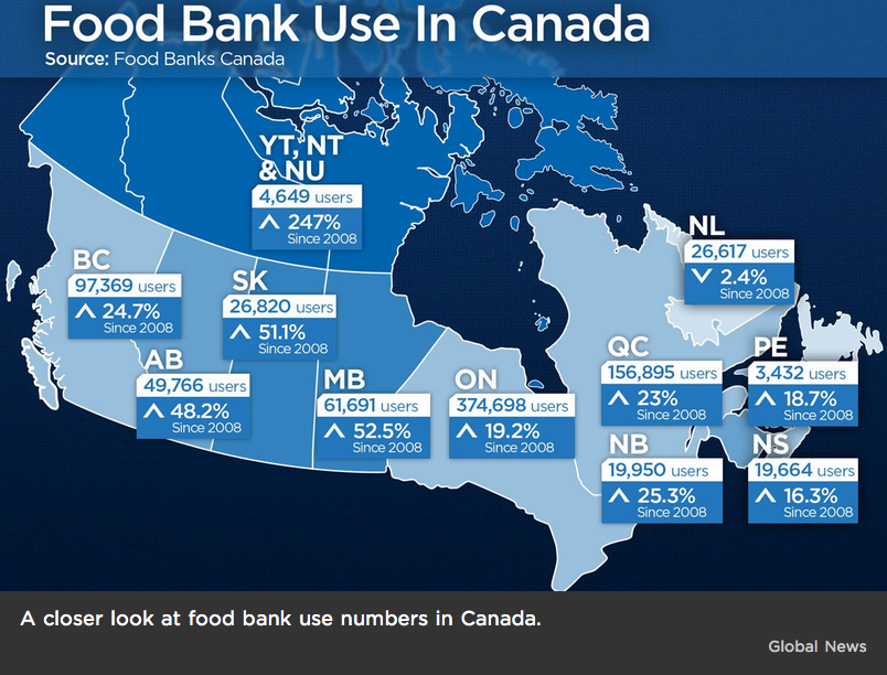 A closer look at food bank use numbers in Canada. Image by Global News.