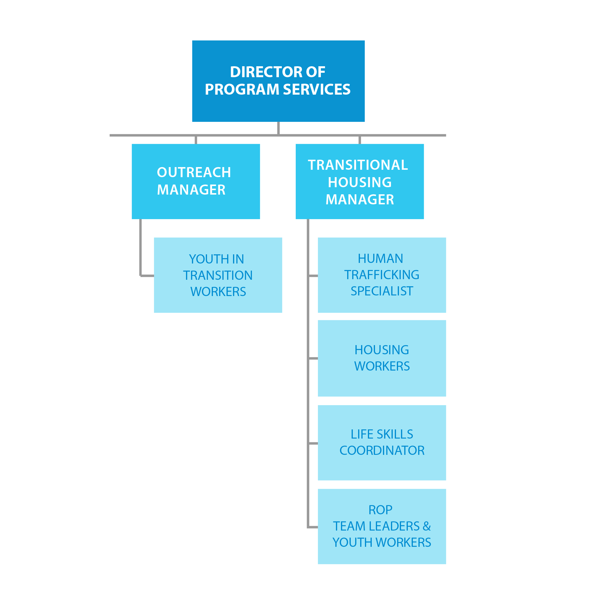 Covenant House Toronto Staffing Chart