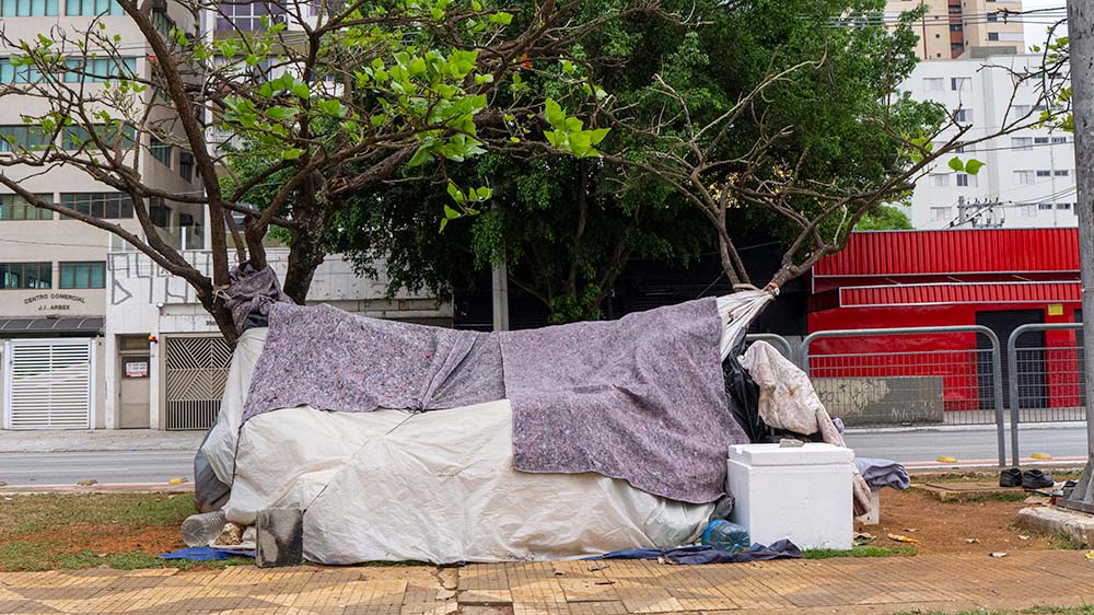 This image seeks to represent how homeless people take advantage of the tree's branches to protect themselves from the heat and create a structure for their housing.
