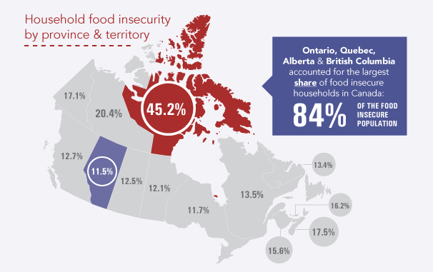 inforgraphic