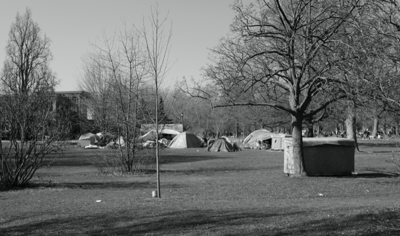 Picture of Trinity Bellwoods Park, Toronto