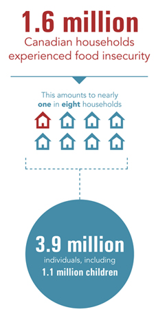 1.6 million Canadian households experienced food insecurity in 2011